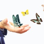 ビッグデータについて 統計学があればビッグデータは不要なのか
