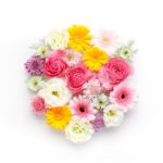 【祝!】300記事達成!!!(≧∇≦)/