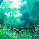 【未来図】小さな経済圏という未来社会と、クラウドファンディングの可能性